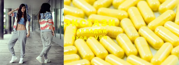 шишки Бердск